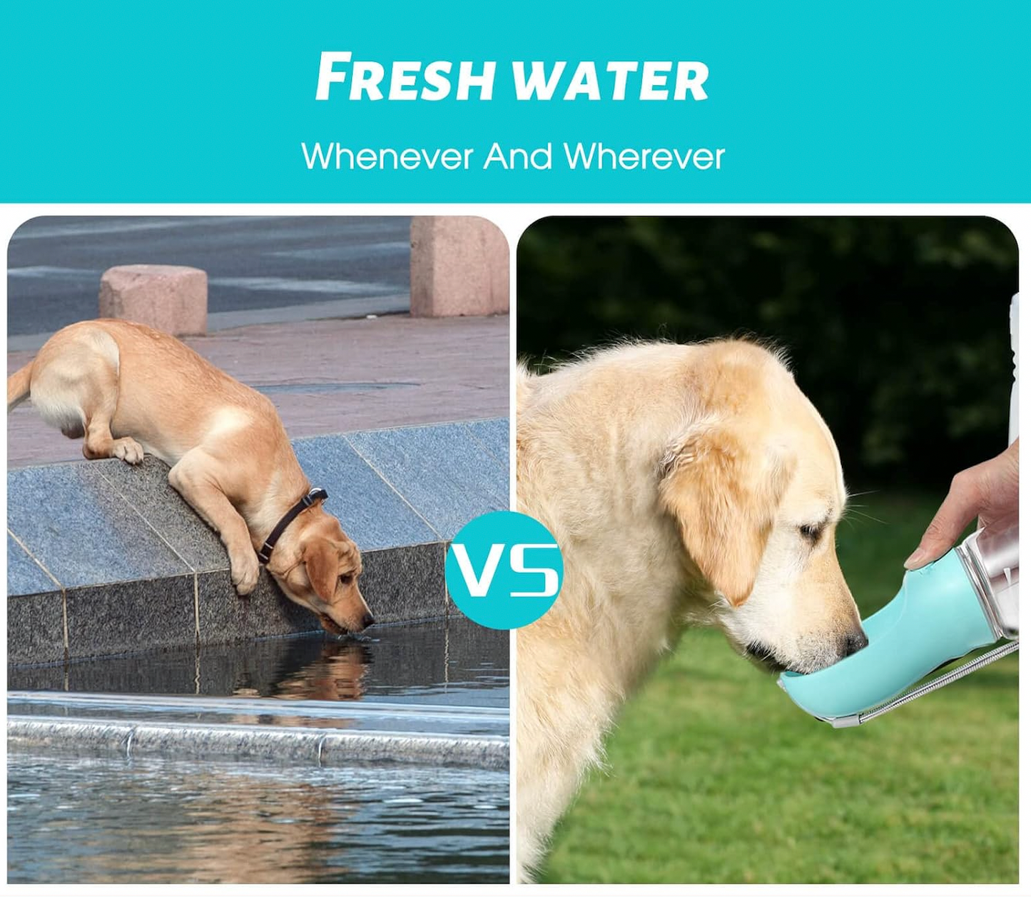Portable Dog Water Bottle With One Touch Dispense & Lock